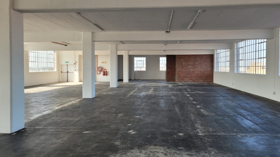 To Let commercial Property for Rent in Diep River Western Cape